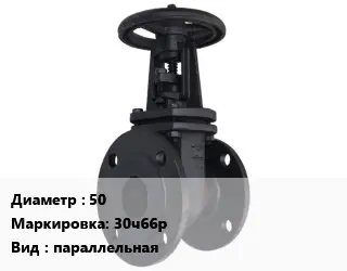 Задвижка чугунная 50 30ч66р параллельная